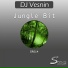 DJ Vesnin