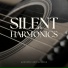 Acoustic Guitar Zone
