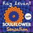 Ray Levant