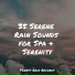 Nature Noise, Regen, Weather Factory