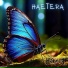 Horakl