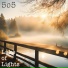 5o5