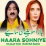 Yousaf Tedi feat. Bushra Sadiq