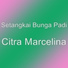 Setangkai Bunga Padi