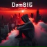 DomBIG