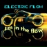 Electric Flow