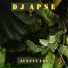 DJ APSE