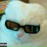 Kr1pze