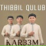 KAR33M