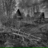 Dead Autumn