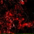 amqhetamine