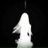 PlugiN, wholild1rty
