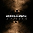 Molecular Orbital