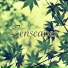 Zenfulness
