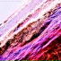 1vicedg