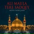 Adeel Sadiq Mir