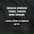 Muhlis Denizer feat. Temel Turabi, Erol Ergani