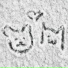 animoonly