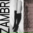 Zambri