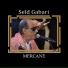 SEID GABARI