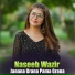 Naseeb Wazir