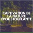 Zen Ambiance D'eau Calme