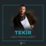 Tekir