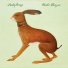 Vashti Bunyan
