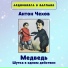 Аудиокнига в кармане