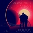 Snowblind Vision