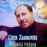 Cheb Zarrouki