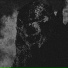 Chapter bugatii