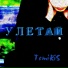 TemiRiS