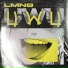 LMN8