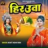 Rohit Yadav Rishi