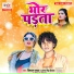 Antra Singh Priyanka, Vishal Yadav