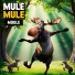 Muule