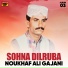 Noukhaf Ali Gajani