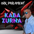 ORK PARLAMENT