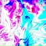 Shuaneri