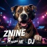 ZNINE