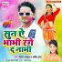 Vikash Balamua, Amisha Gupta