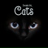 Cats Music Zone