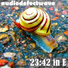audiodefectwave