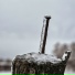 SerNik