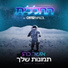 Osher Cohen, החללית