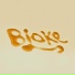 BLOKE