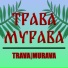 TRAVA MURAVA