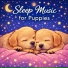 Dog Sleep Lab