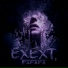 exext.